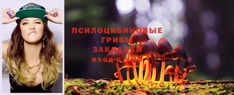 купить  сайты  ссылка на мегу вход  Галлюциногенные грибы Psilocybe  Рыльск 